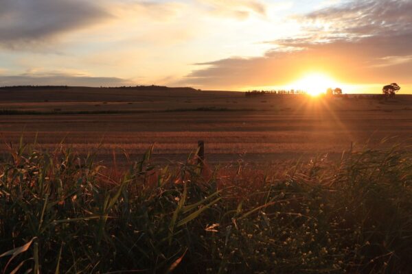 Sunset over open farmland