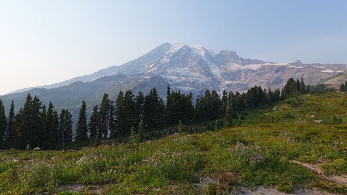 Mount Rainier rising over evergreen forest, the highlight of day trips from Seattle
