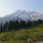 Mount Rainier rising over evergreen forest, the highlight of day trips from Seattle