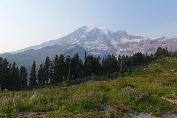Mount Rainier rising over evergreen forest, the highlight of day trips from Seattle