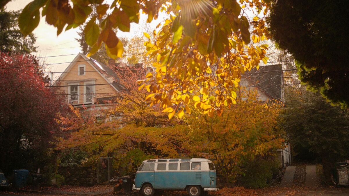Quiet suburban street with well-kept homes in one of Washington's safest cities