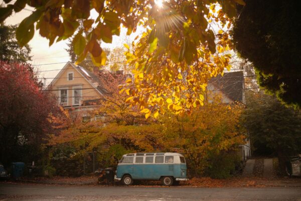 Quiet suburban street with well-kept homes in one of Washington's safest cities