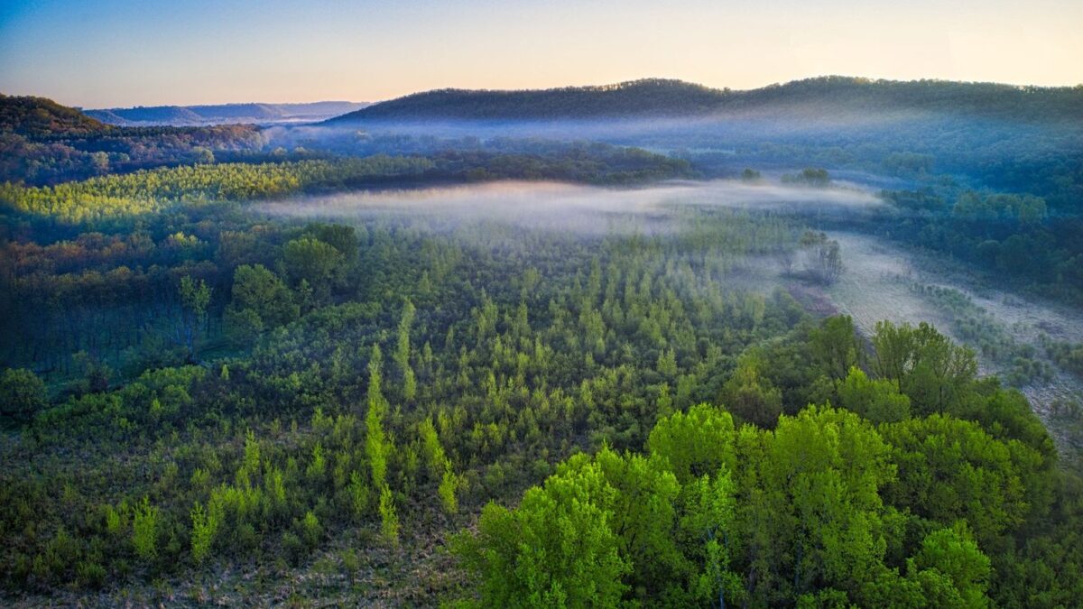 Misty forested hills in the Missouri Ozarks