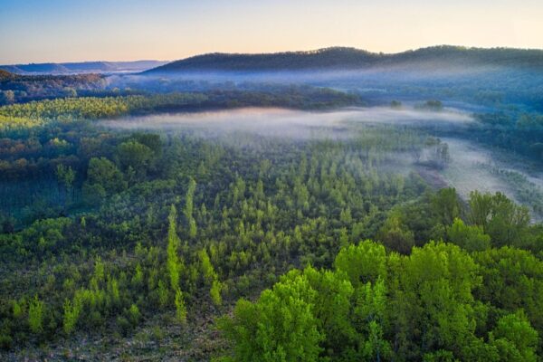 Misty forested hills in the Missouri Ozarks