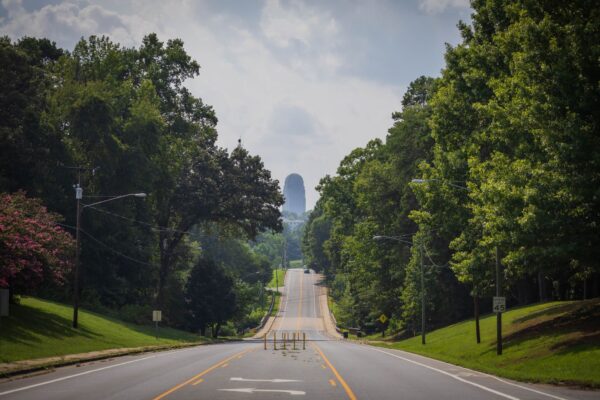 Tree-lined street in a North Carolina city